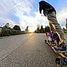 dog, skateboard, skateboarding, person, outdoor, street, road, sunset, golden_hour, urban, neighborhood, pet, leash, harness, clothing, sneakers, motion, low_angle, sky, trees