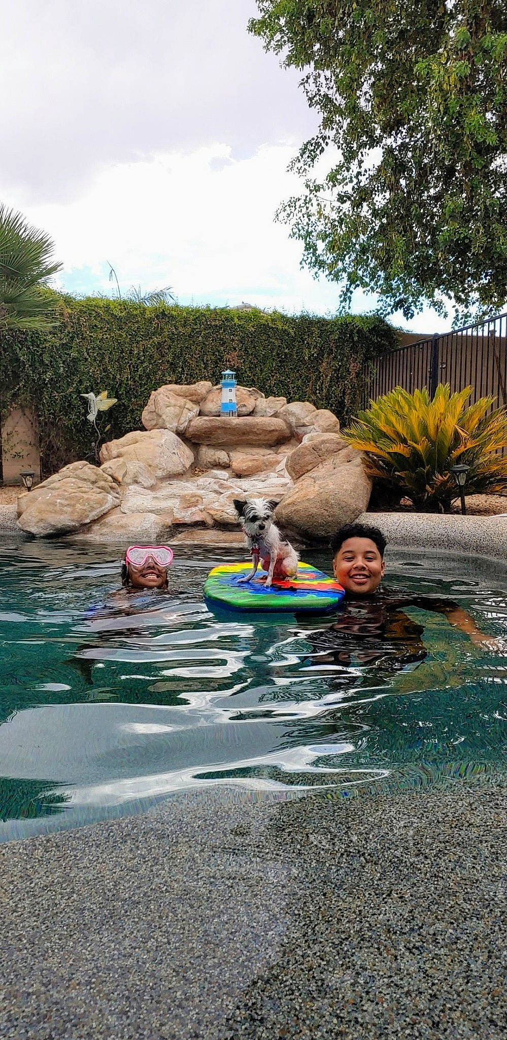 Moo is registered to the contest to win money with this photo: amusement_park, aqua, arecales, bathing, fun, garden, inflatable, leisure, outdoor_recreation, palm_tree, park, play, recreation, swimming, swimming_pool, tubing, vacation, water, water_feature, water_park