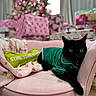 Doja joined the competition — help win amazing prizes! black_cat, cat, pet, chair, pink_chair, green_outfit, holiday, christmas_tree, presents, gift_wrap, festive, indoor, living_room, cozy, blanket, yellow_eyes, animal, cute, relaxed, decor