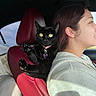 Doja is registered to the contest to win money with this photo: cat, black_cat, car_interior, car_seat, red_seat, woman, side_profile, driving, pet, collar, yellow_eyes, relaxed, sunlight, casual_clothing, hoodie, indoor, travel, road_trip, companion, animal
