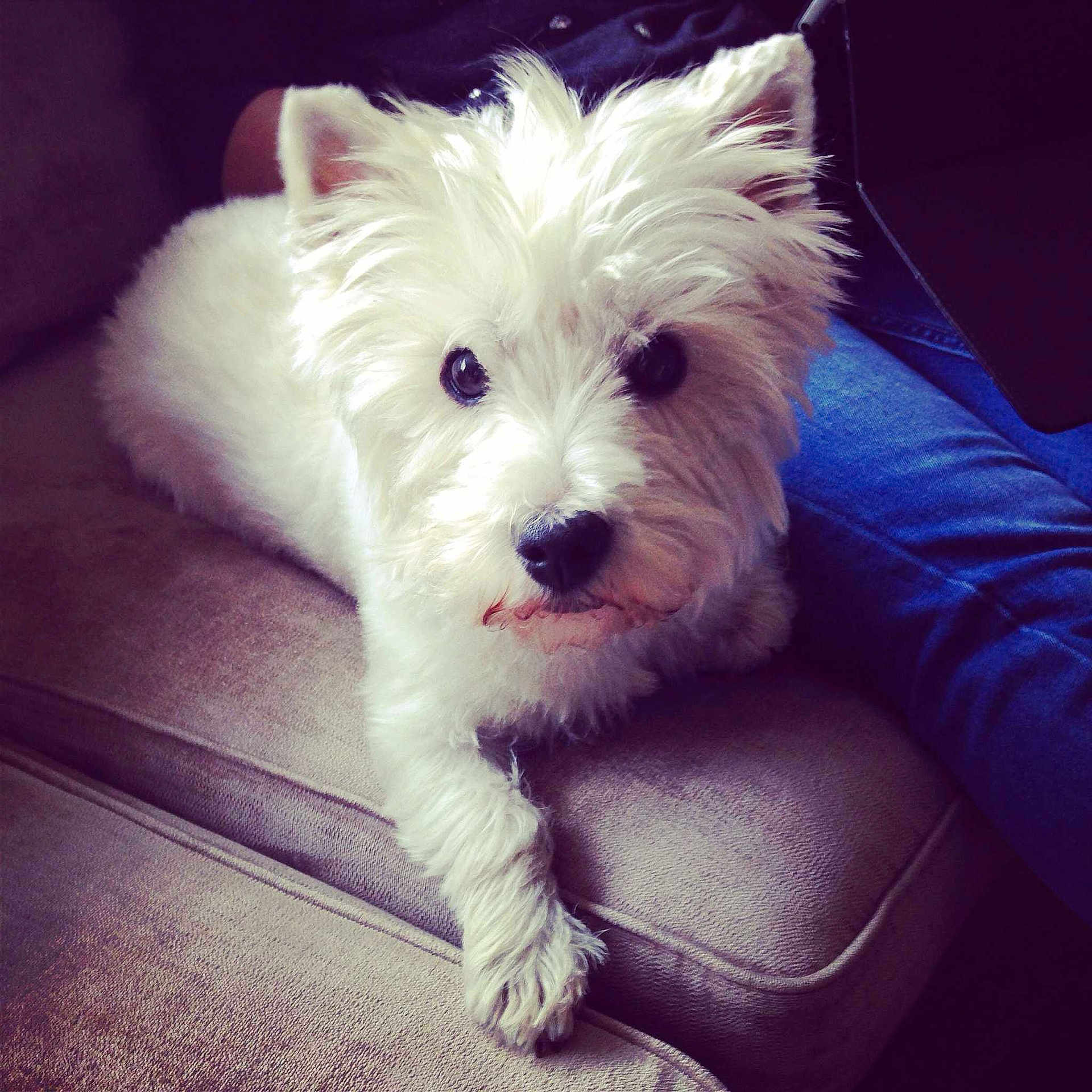 Mollie joined the competition — help win amazing prizes!