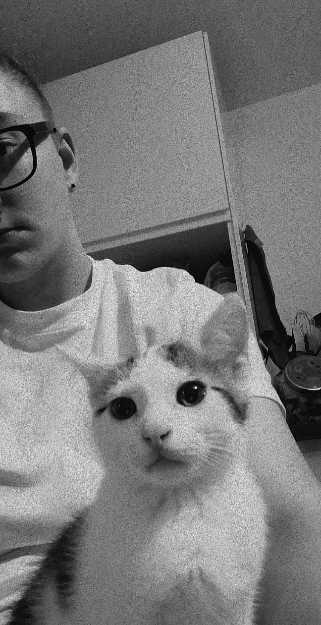 Tyson a rejoint le concours — aidez-le/la à gagner de superbes lots ! black_and_white, carnivore, cat, ear, eyewear, felidae, gesture, glasses, grey, happy, jaw, monochrome, monochrome_photography, neck, sleeve, style, t_shirt, vision_care, whiskers, white