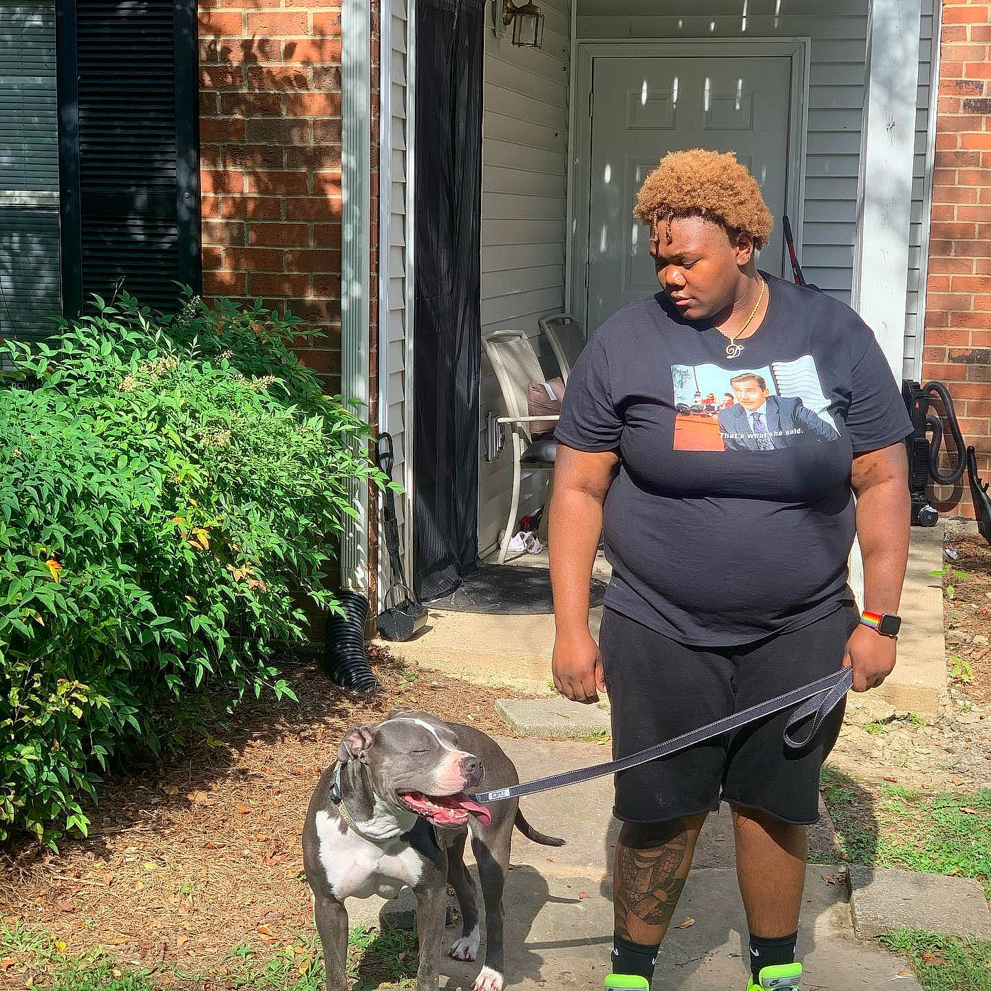 Zoey joined the competition — help win amazing prizes! american_staffordshire_terrier, canidae, carnivore, dog, dog_breed, dog_walking, fawn, leash, non_sporting_group, walking