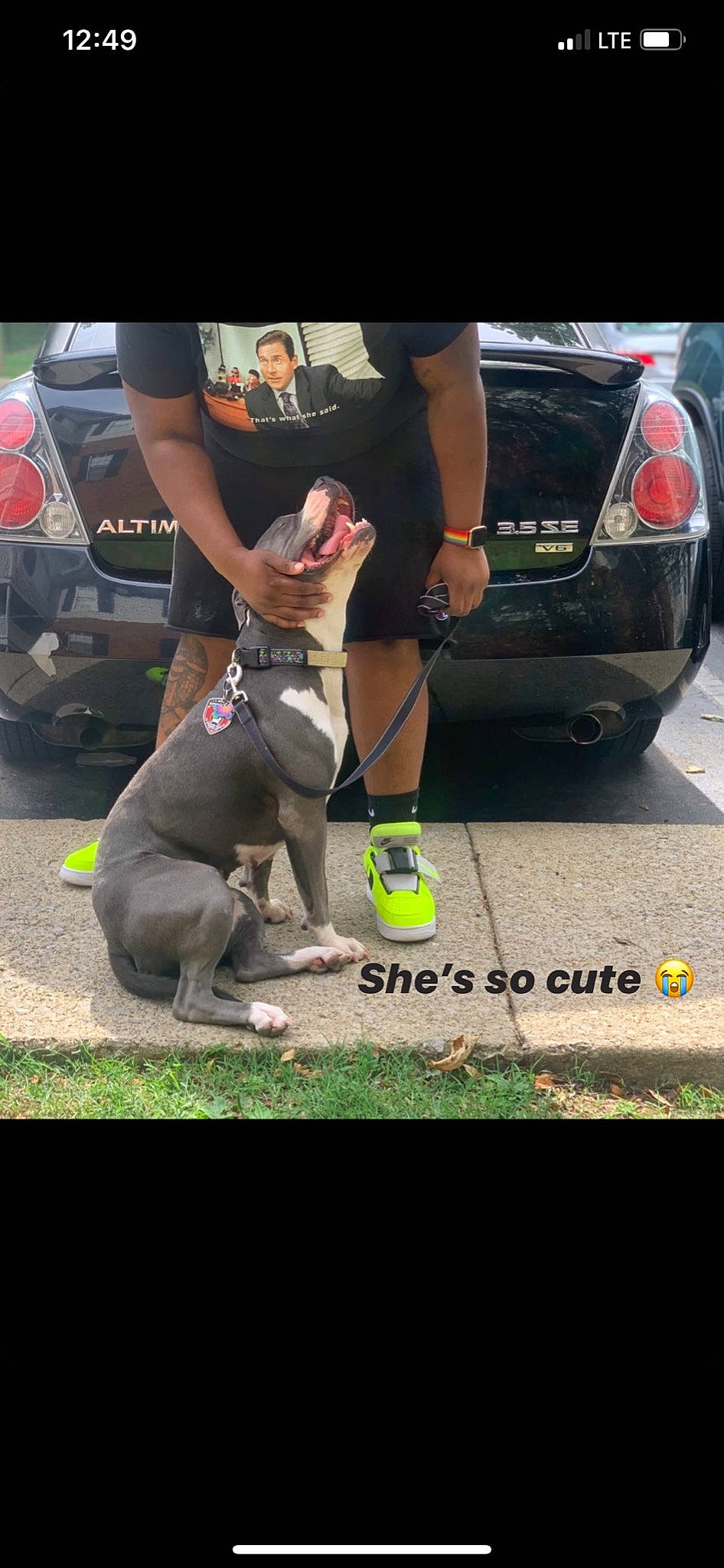 Zoey is registered to the contest to win money with this photo: american_pit_bull_terrier, canidae, car, carnivore, companion_dog, dog, dog_breed, dog_walking, fashion_accessory, fawn, leash, mammal, non_sporting_group, photography, pit_bull, sporting_group, vehicle, vehicle_door, vertebrate, weimaraner