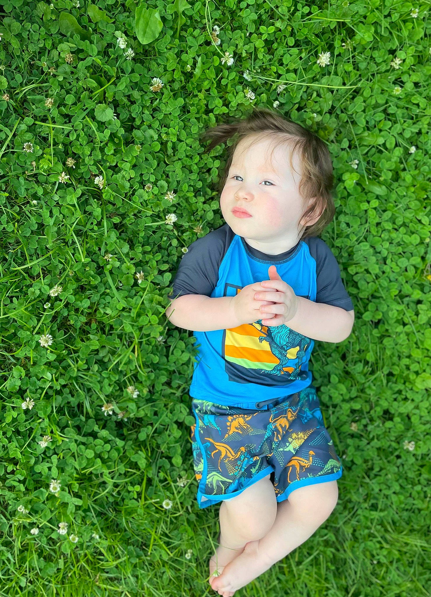 Anakin is registered to the contest to win money with this photo: baby, baby_toddler_clothing, child, electric_blue, fun, garden, gardening, grass, grass_family, grassland, groundcover, happy, lawn, meadow, people_in_nature, person, plant, shrub, t_shirt, toddler