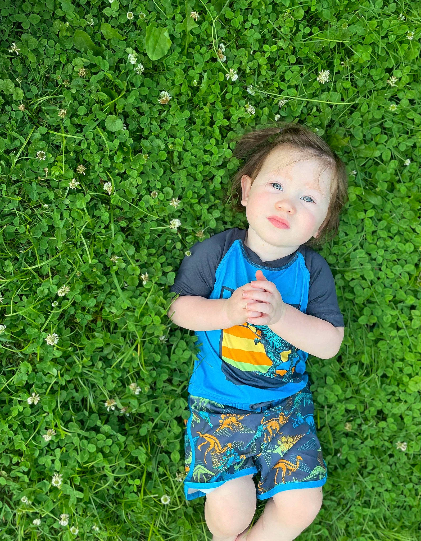 Anakin is registered to the contest to win money with this photo: baby_toddler_clothing, child, electric_blue, fun, garden, grass, grass_family, grassland, groundcover, happy, human_leg, lawn, meadow, people_in_nature, person, plant, shrub, summer, t_shirt, toddler