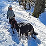 canine, child, clothing, cold, daylight, dog, exploration, forest, gloves, hat, nature, outdoor, path, pet, shadow, snow, sunlight, trees, walking, winter