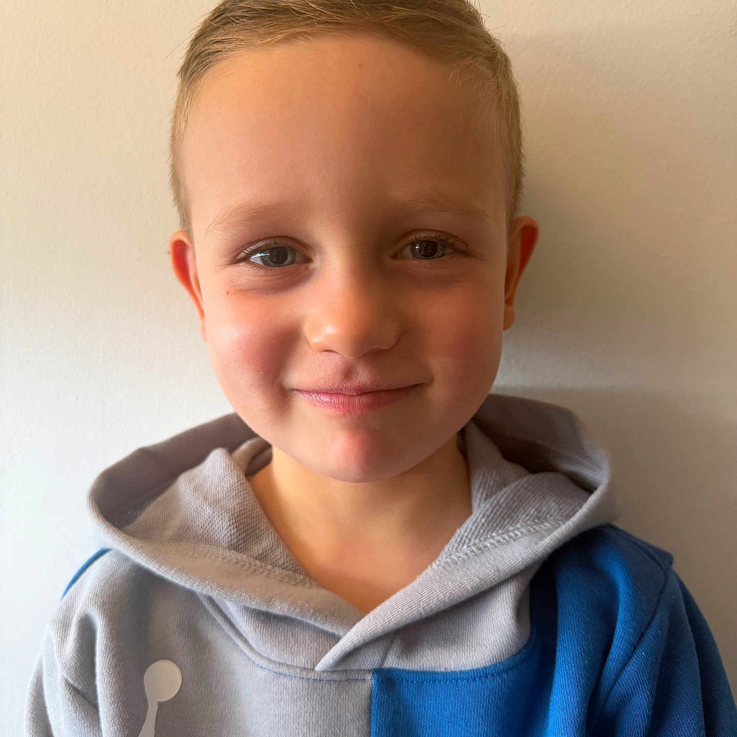 Mark participe au concours pour gagner de l'argent avec cette photo : boy, casual, casual_clothing, child, closeup, cute, face, friendly, happy, hoodie, indoor, kid, light_skin, person, portrait, short_hair, smile, standing, wall, young