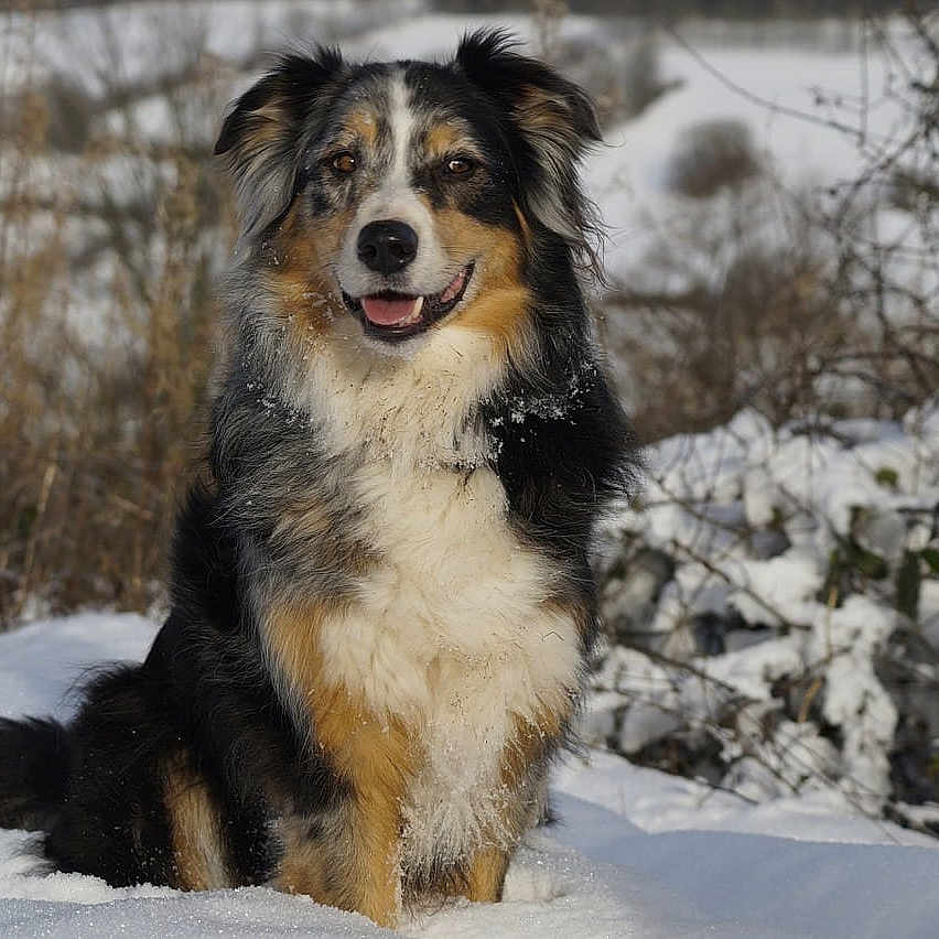 Sam