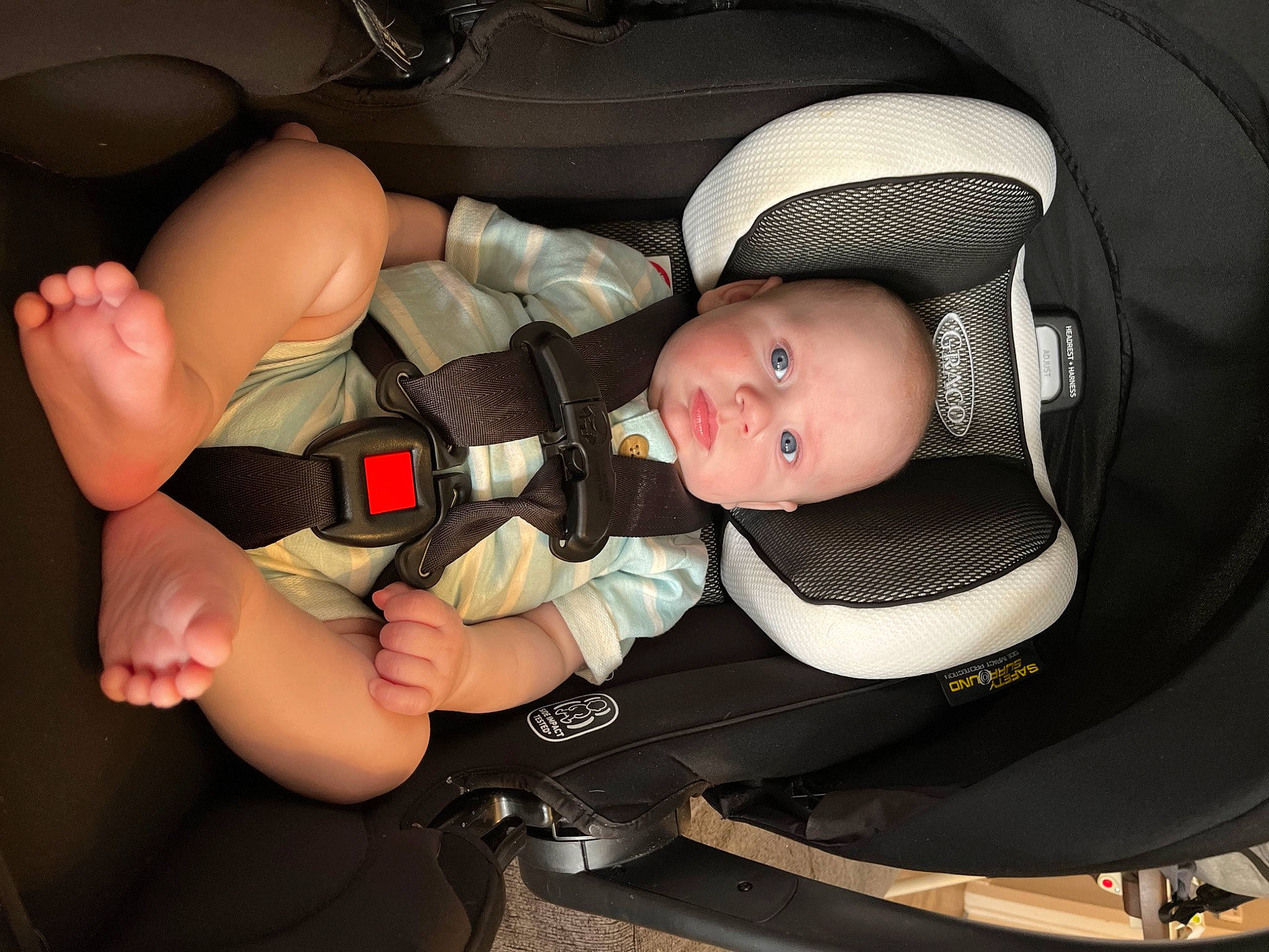 Zaydin Lee is registered to the contest to win money with this photo: arm, auto_part, baby, baby_carriage, baby_products, baby_toddler_clothing, car_seat, cheek, comfort, finger, gesture, hand, human_body, leg, mouth, nail, person, product, service, skin