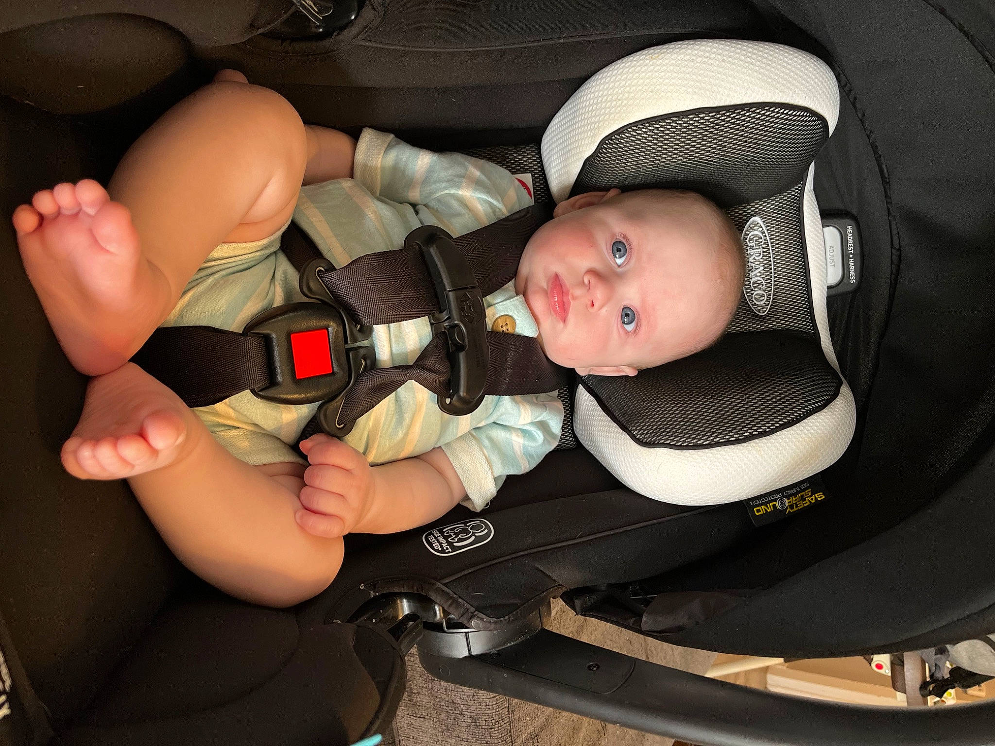 Zaydin Lee joined the competition — help win amazing prizes! auto_part, baby, baby_carriage, baby_in_car_seat, baby_products, baby_toddler_clothing, car_seat, child, comfort, finger, gesture, leg, mouth, nail, person, personal_protective_equipment, seat_belt, thigh, thumb, toddler