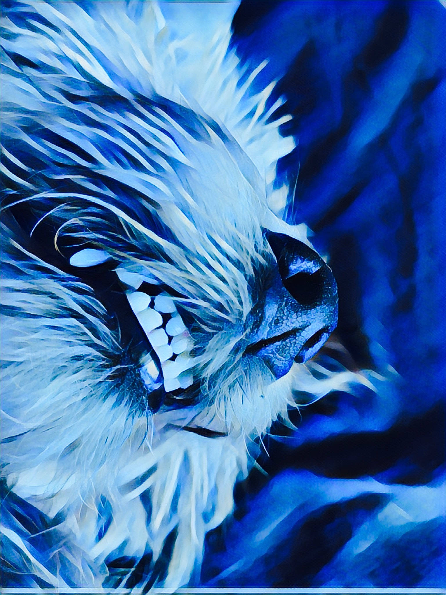 Tintin a rejoint le concours — aidez-le/la à gagner de superbes lots ! bird, blue, electric_blue, feather, illustration, plant, wildlife, wing