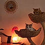 Willow participe au concours pour gagner de l'argent avec cette photo : cat, cat_tree, indoor, lamp, salt_lamp, orchid, plant, furniture, decor, wall, basket, pet, animal, cozy, relaxing, home, warm_light, orange_cat, white_cat, hanging_toy