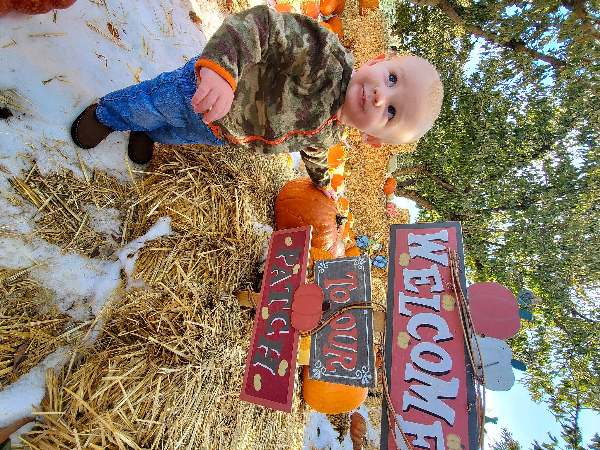 Dustin Jr. joined the competition — help win amazing prizes! child, person, plant, pumpkin, recreation, straw, tree