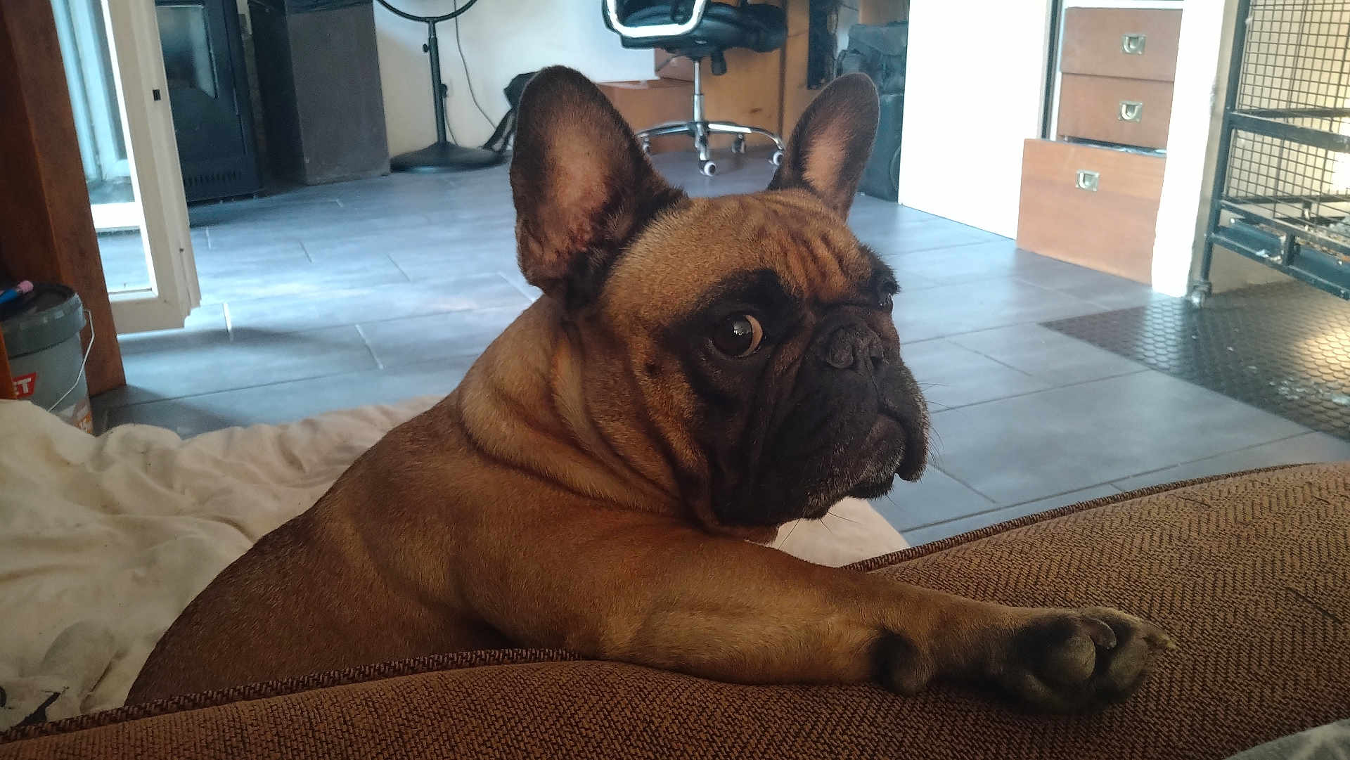 Tara