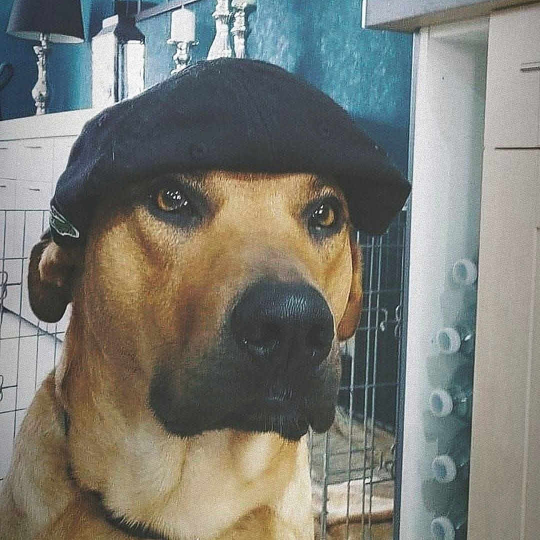 Pep'S