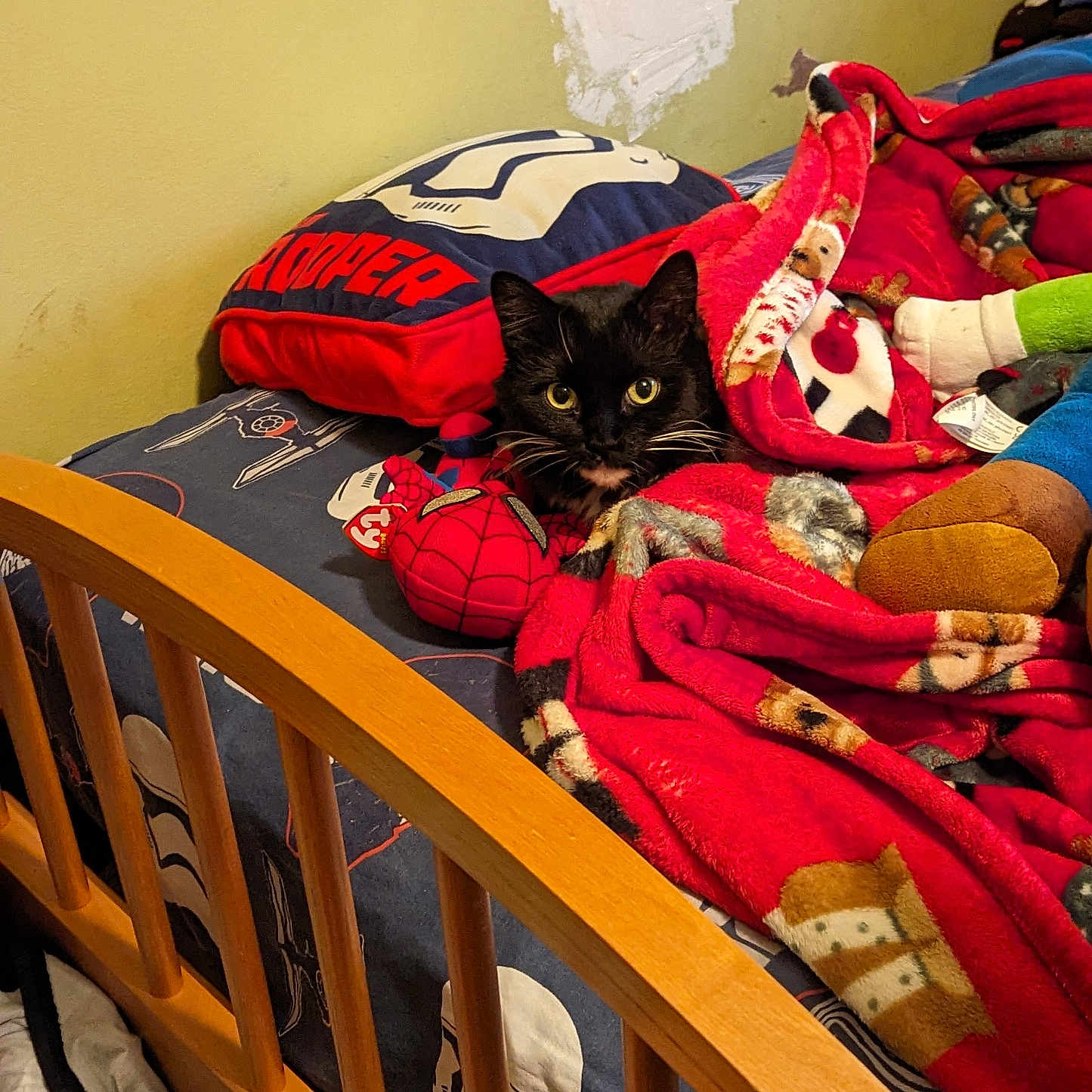 Midnight joined the competition — help win amazing prizes! animal, bed, bedding, black_cat, blanket, cat, cozy, curious, fabric, feline, indoor, pet, pillow, plush_toy, red_blanket, star_wars, stormtrooper, toy, wooden_bed_frame, yellow_eyes