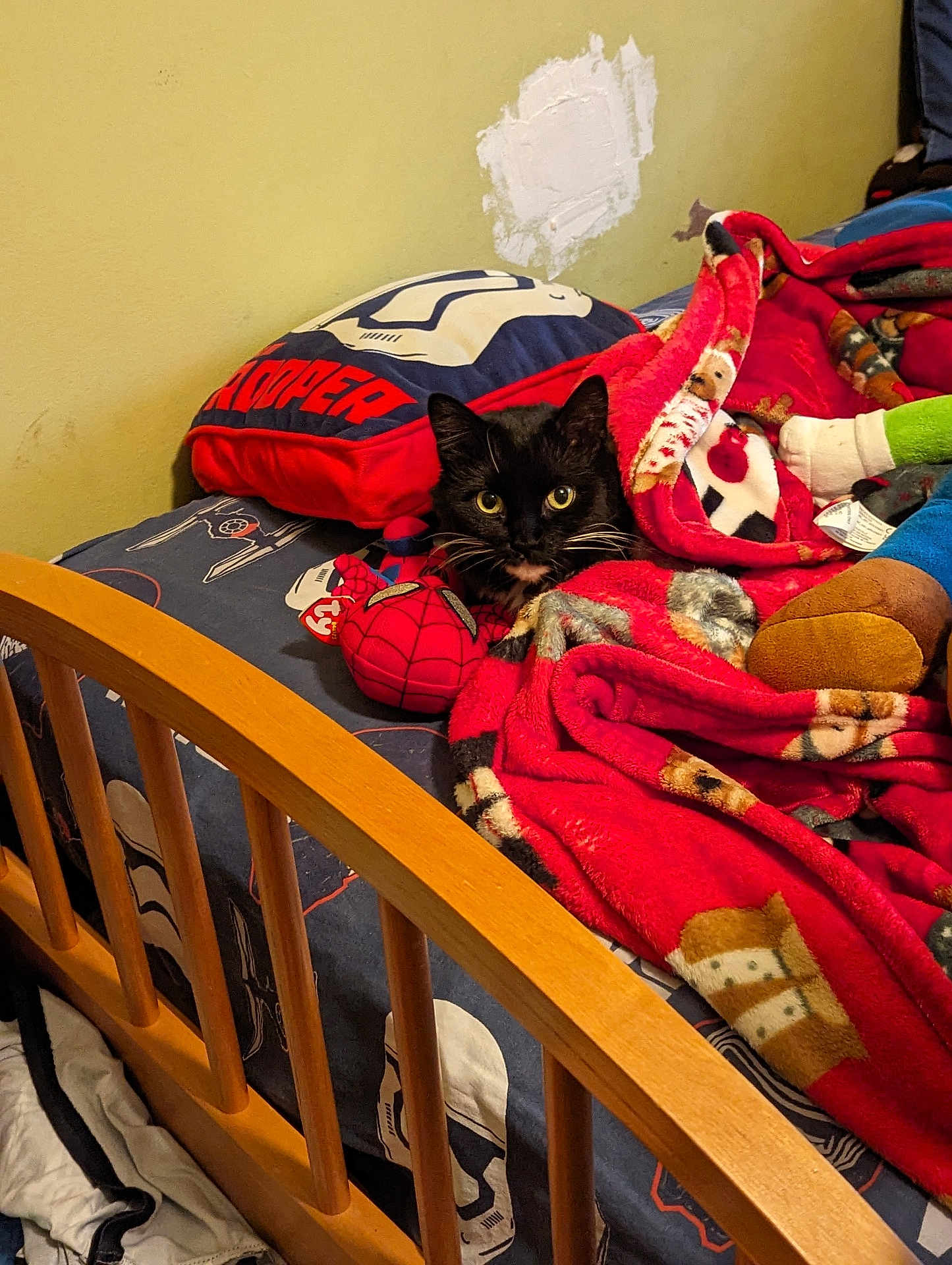 Midnight joined the competition — help win amazing prizes! cat, black_cat, blanket, bed, pillow, stormtrooper, star_wars, plush_toy, red_blanket, wooden_bed_frame, feline, indoor, cozy, curious, toy, fabric, bedding, pet, animal, yellow_eyes