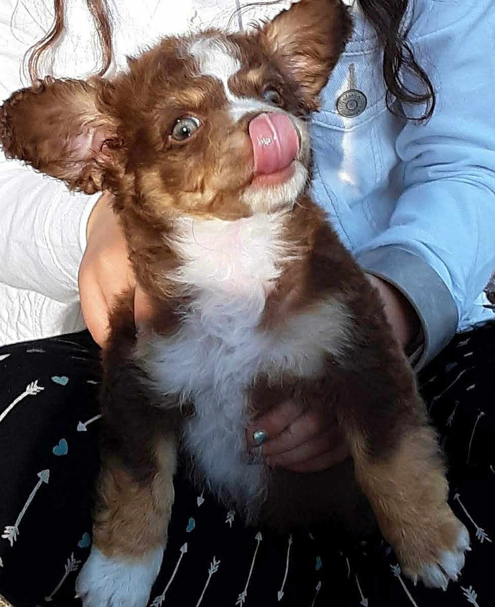 Penny