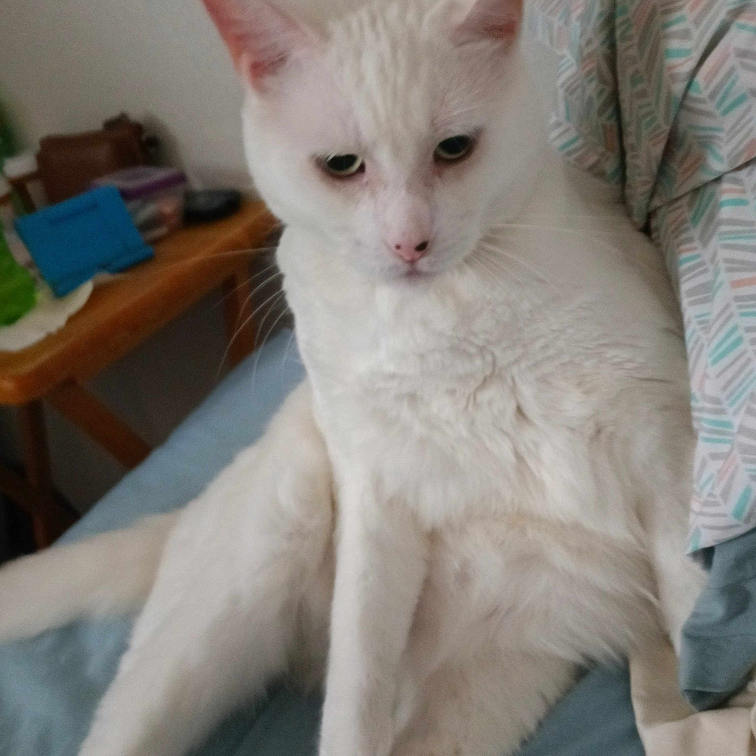 Jack