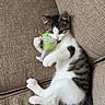 kitten, cat, plush_toy, couch, beige, furniture, pet, indoor, cozy, cute, relaxed, playful, small_animal, white, gray, striped, tail, paw, young, resting