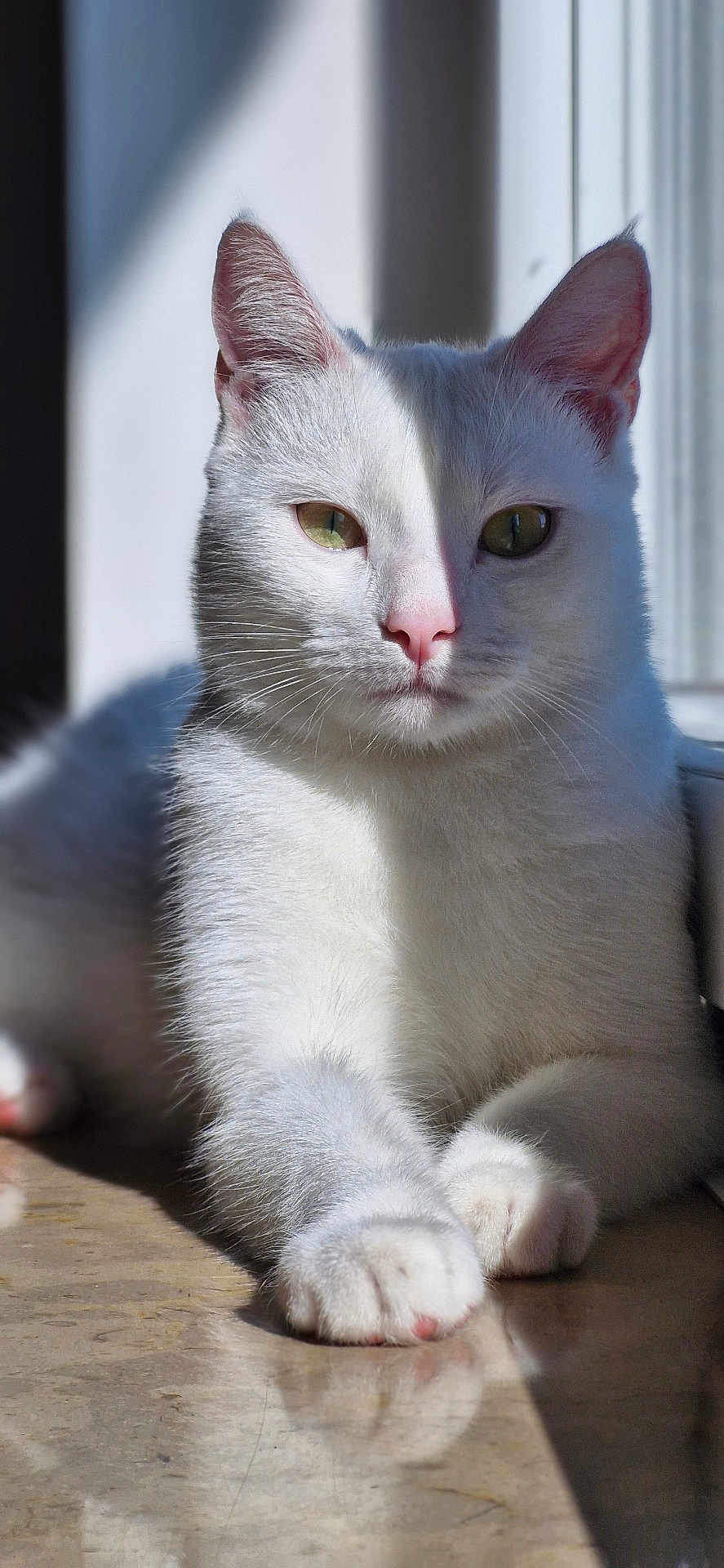 Mia