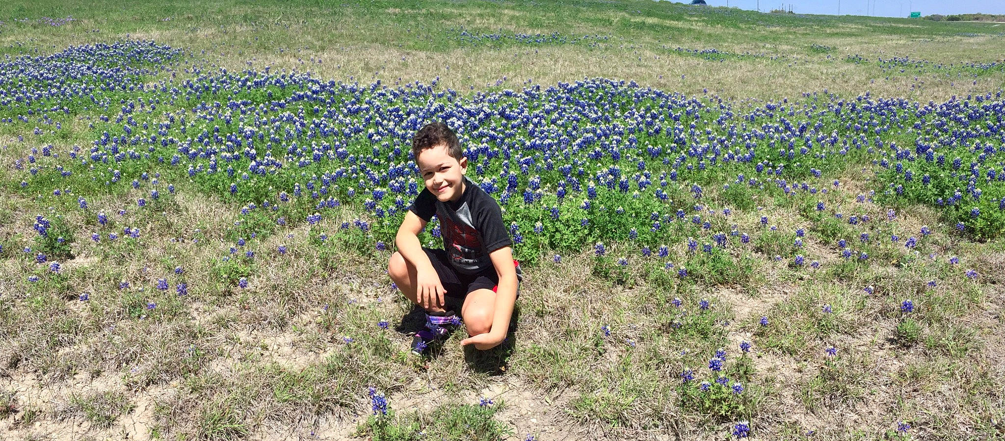 Emilio joined the competition — help win amazing prizes! agriculture, ecoregion, electric_blue, field, flower, flowering_plant, grass, grass_family, grassland, groundcover, happy, joy, landscape, meadow, people_in_nature, person, plant, plant_community, prairie, shorts