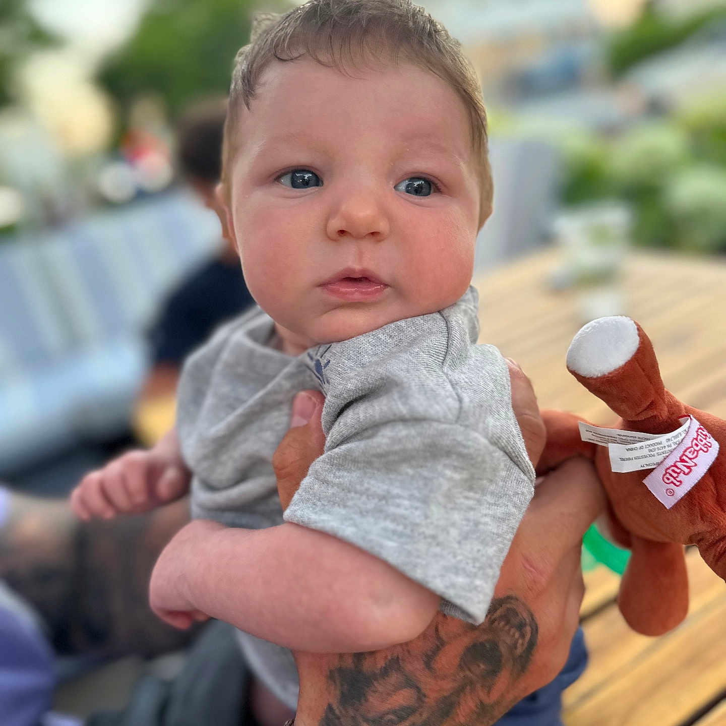 Levi joined the competition — help win amazing prizes! arm, baby, bodypart, boy, child, clothing, face, finger, hand, head, male, newborn, pants, person, photography, portrait, skin, t_shirt, tattoo, wrist