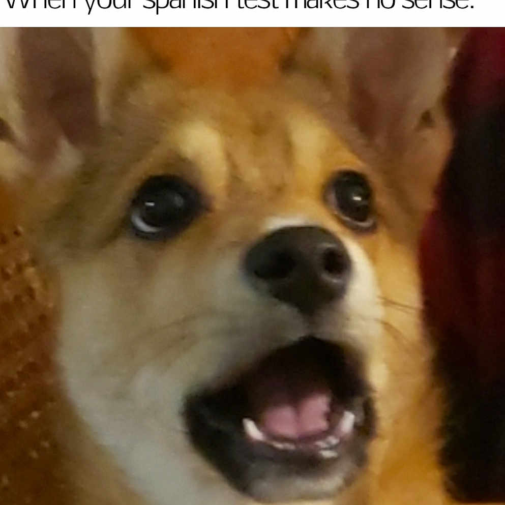 Koda