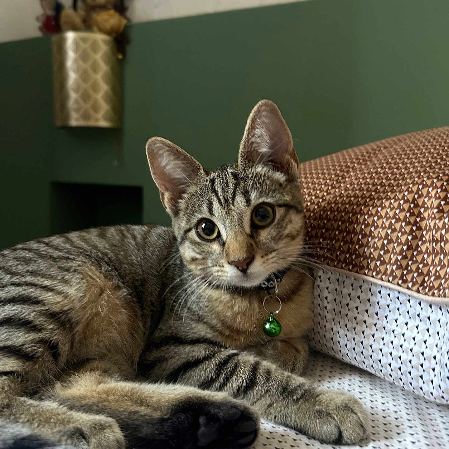 Loki