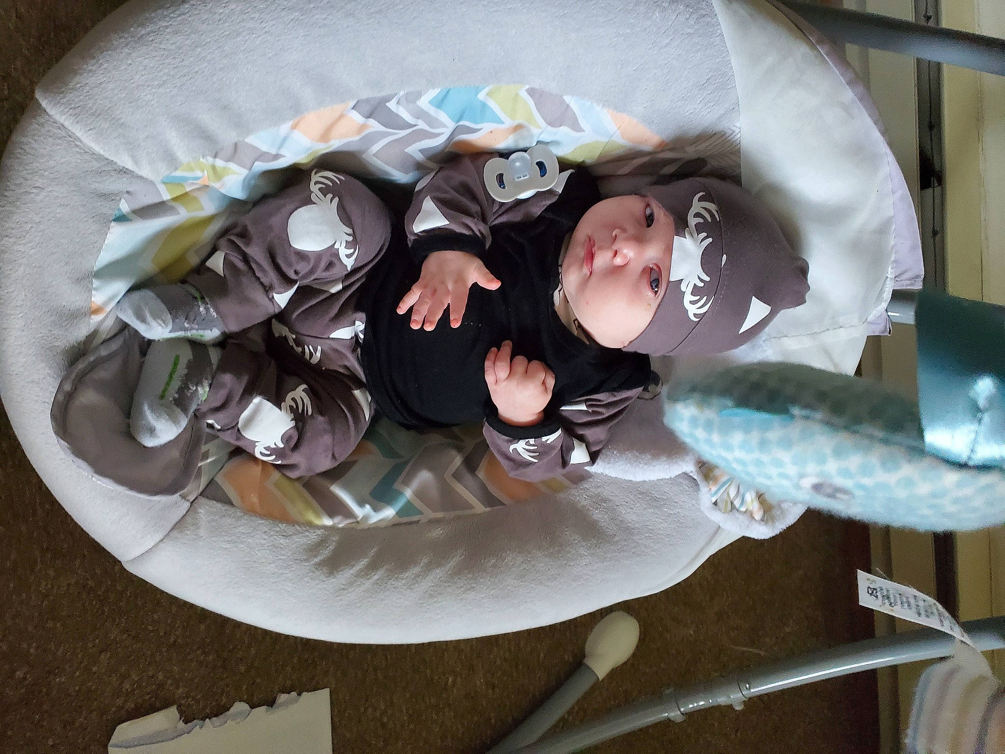 Dakota joined the competition — help win amazing prizes! auto_part, automotive_wheel_system, bridal_accessory, bumper, circle, comfort_food, event, fashion_accessory, formal_wear, hair_accessory, headpiece, headwear, person, petal, plant, smile, sweetness, table, tree, veil