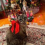 animal, cat, celebration, christmas, christmas_lights, christmas_tree, cute, decor, domestic_cat, festive, figurines, holiday_decorations, holiday_lights, home, indoor, pet, red_bow, rug, seasonal, wooden_floor