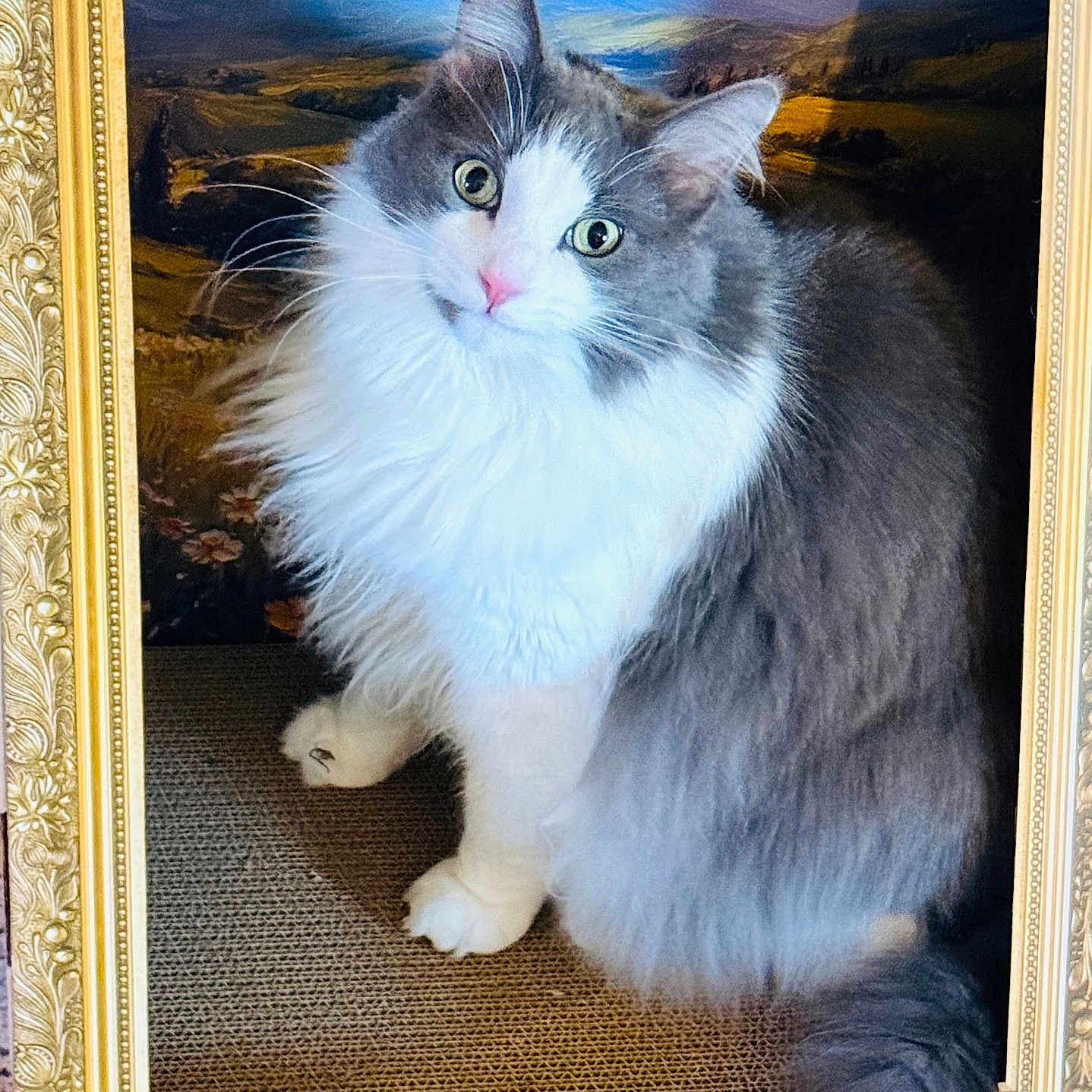 Mylo