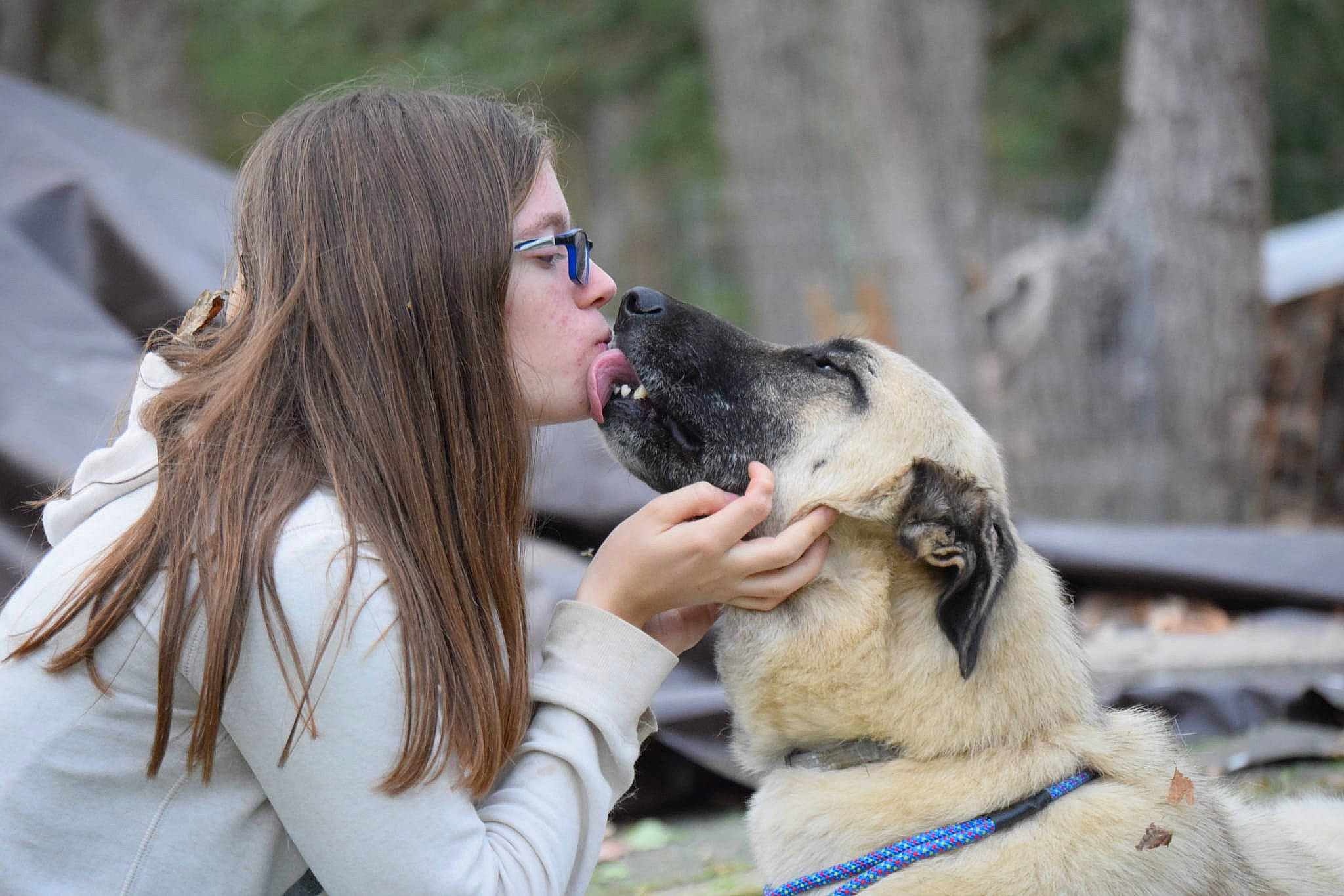 Tessa joined the competition — help win amazing prizes! canidae, carnivore, collar, companion_dog, dog, dog_breed, dog_collar, event, eyewear, fawn, fur, gesture, goggles, happy, kiss, love, people, snout, sporting_group, sunglasses