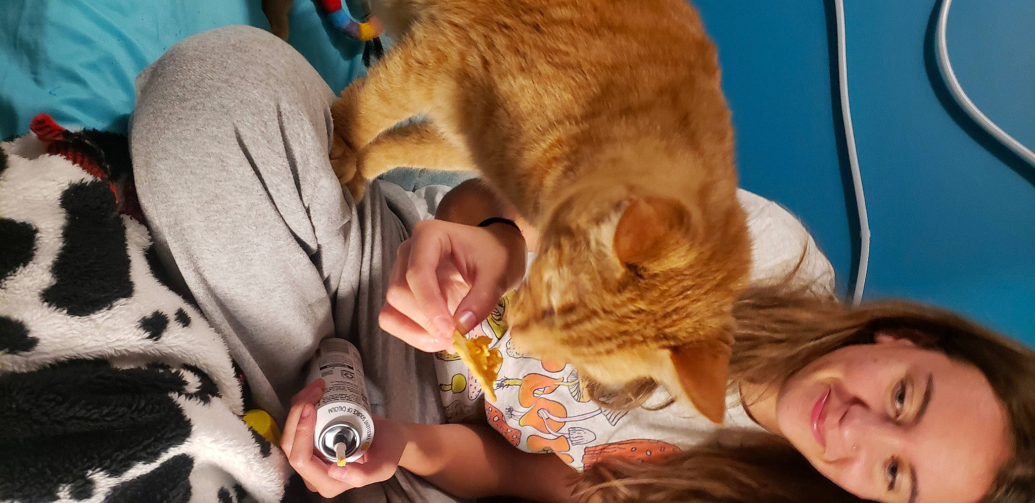 Max is registered to the contest to win money with this photo: carnivore, cat, child, comfort, domestic_short_haired_cat, ear, fawn, felidae, fun, fur, gesture, happy, lap, mammal, nail, organ, small_to_medium_sized_cats, smile, vertebrate, whiskers