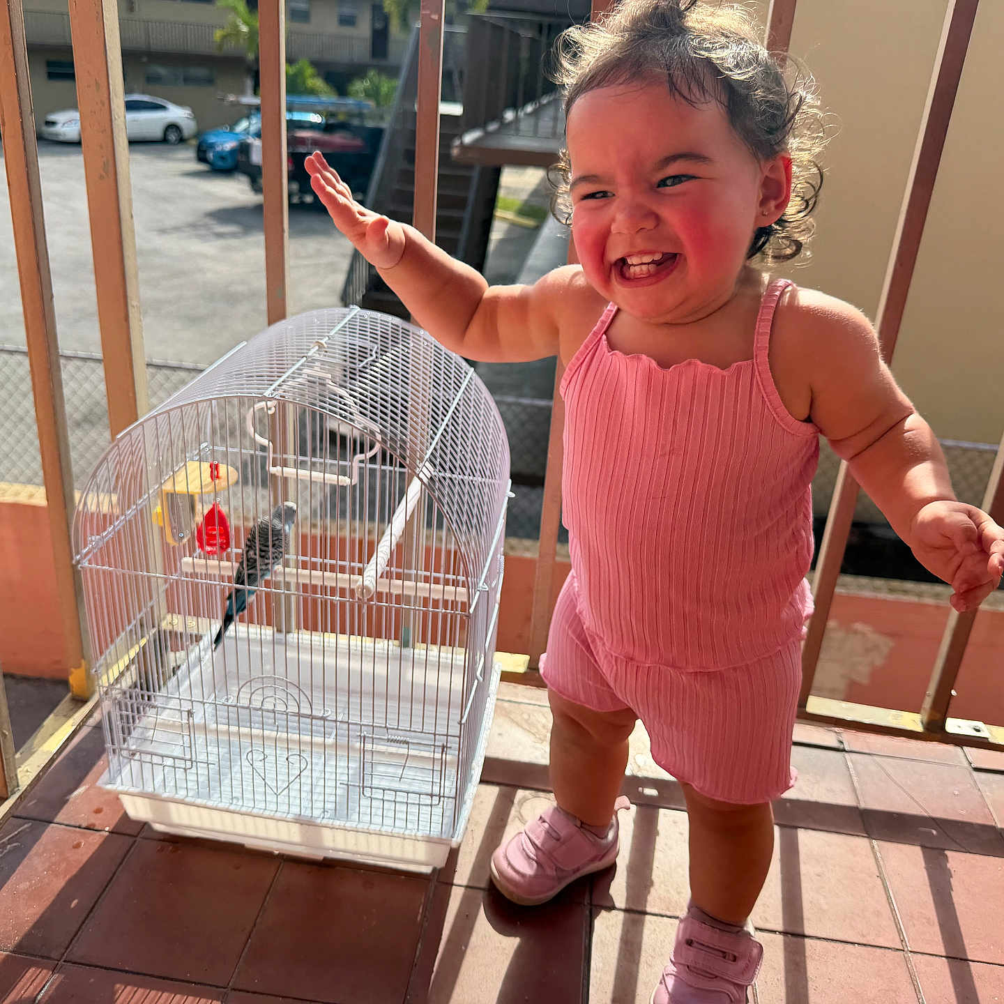 Izabelle is registered to the contest to win money with this photo: child, toddler, pink_clothing, birdcage, bird, balcony, sunlight, smile, happy, curly_hair, shoes, outdoor, railing, playful, person, daylight, expression, young_child, fence, building