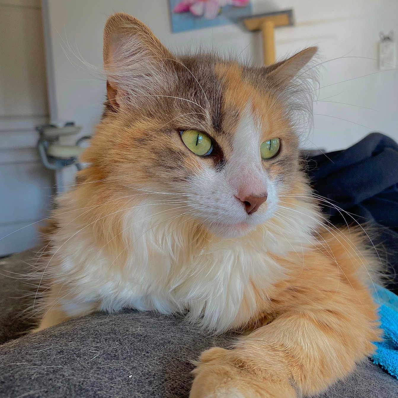 Tina