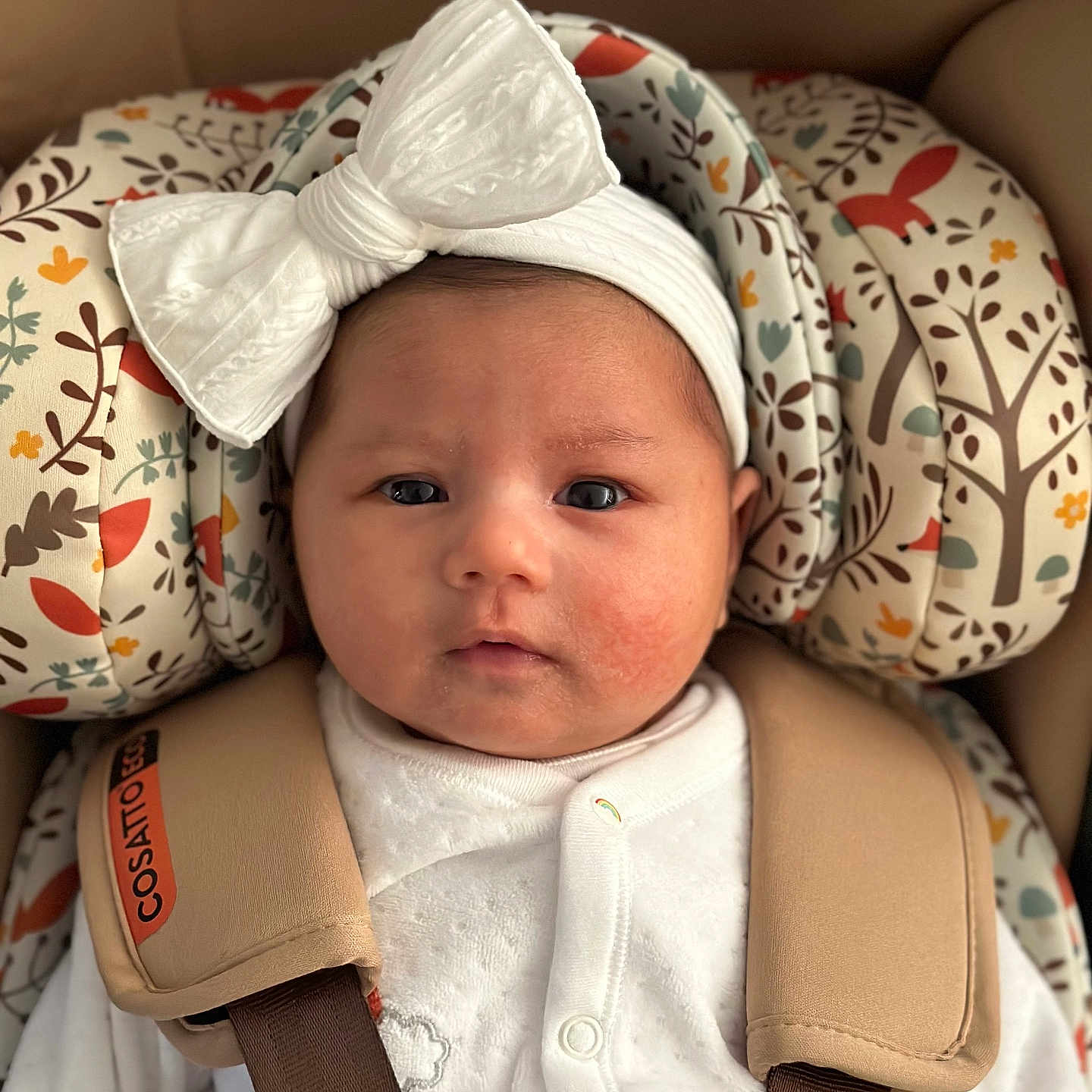 Isabella is registered to the contest to win money with this photo: baby, car_seat, child, close_up, clothing, cute, expression, face, headband, indoors, infant, newborn, patterned_cushion, person, portrait, safety_harness, seatbelt, soft_lighting, white_bow, young_child