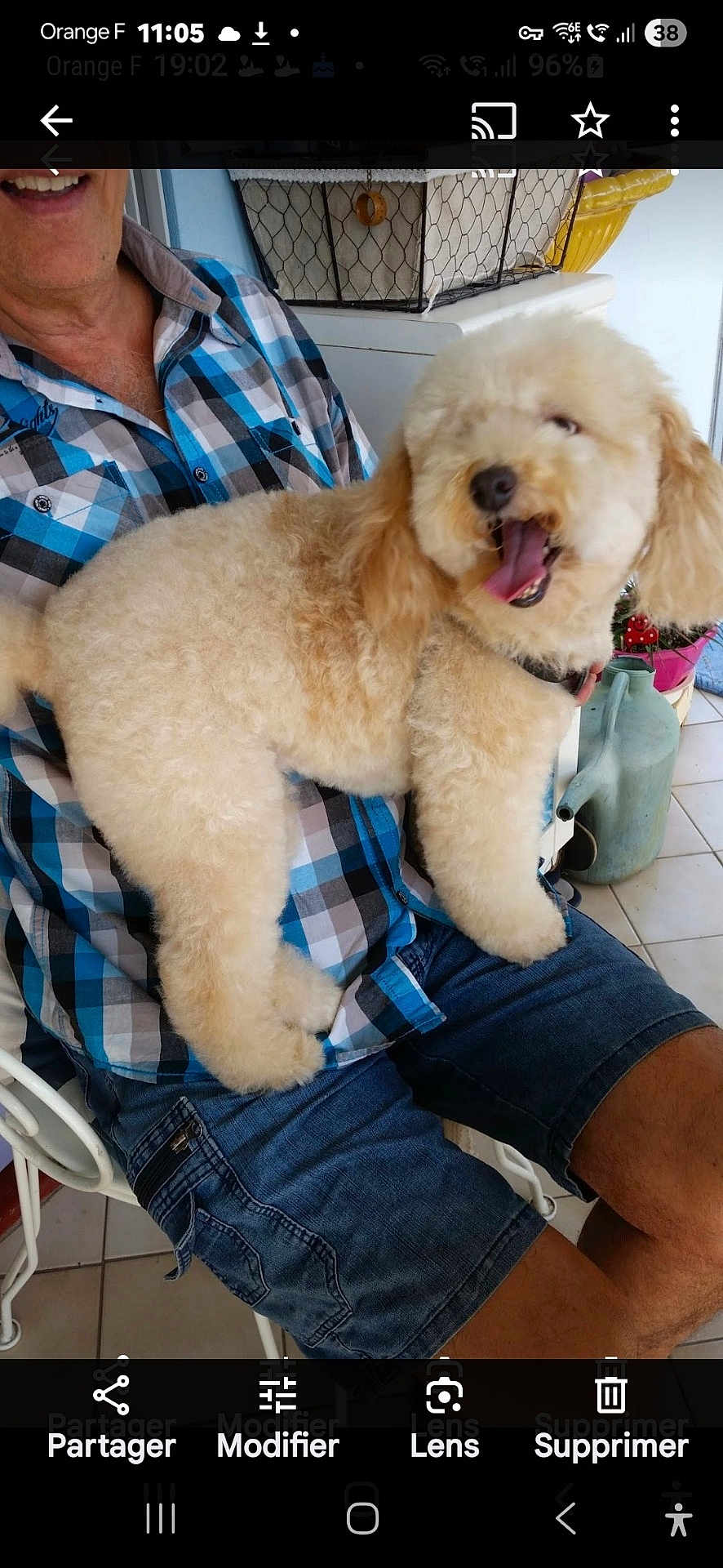 Chippie