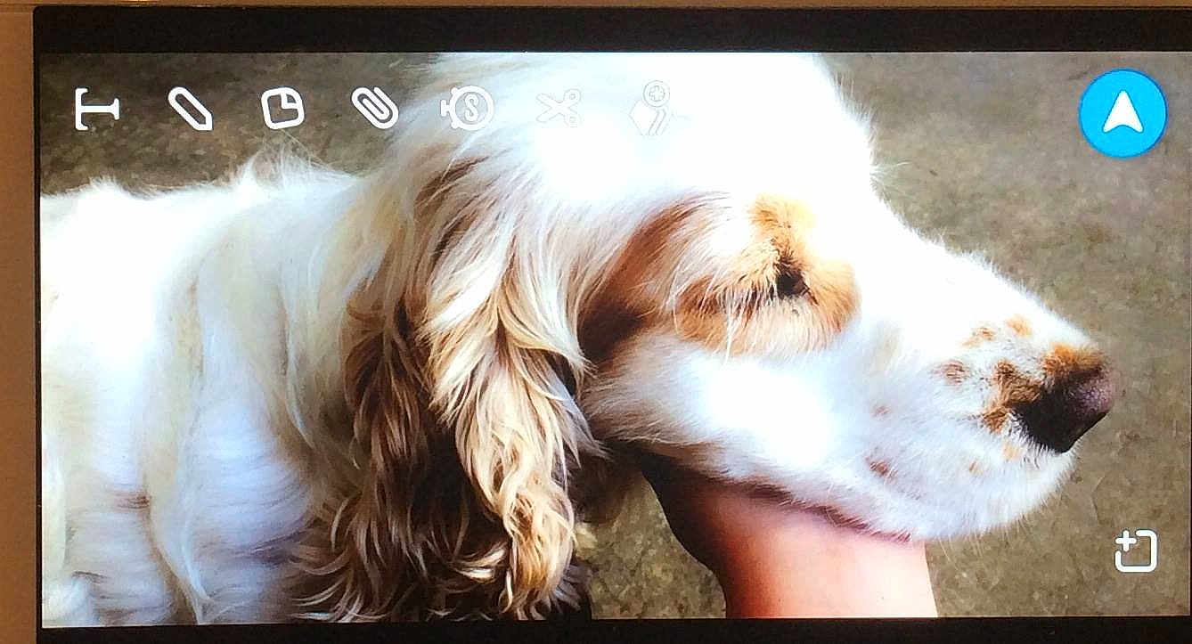 Lola