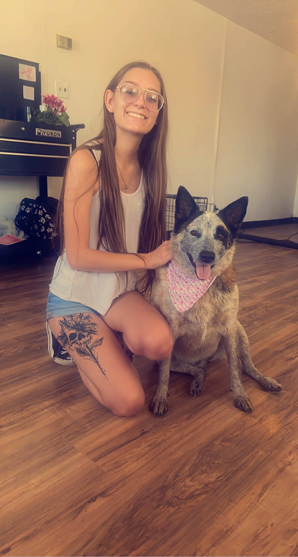 Nugget is registered to the contest to win money with this photo: carnivore, comfort, companion_dog, dog, dog_breed, eyewear, fawn, floor, flooring, happy, hardwood, human_leg, knee, laminate_flooring, leg, shoulder, smile, thigh, trunk, wood