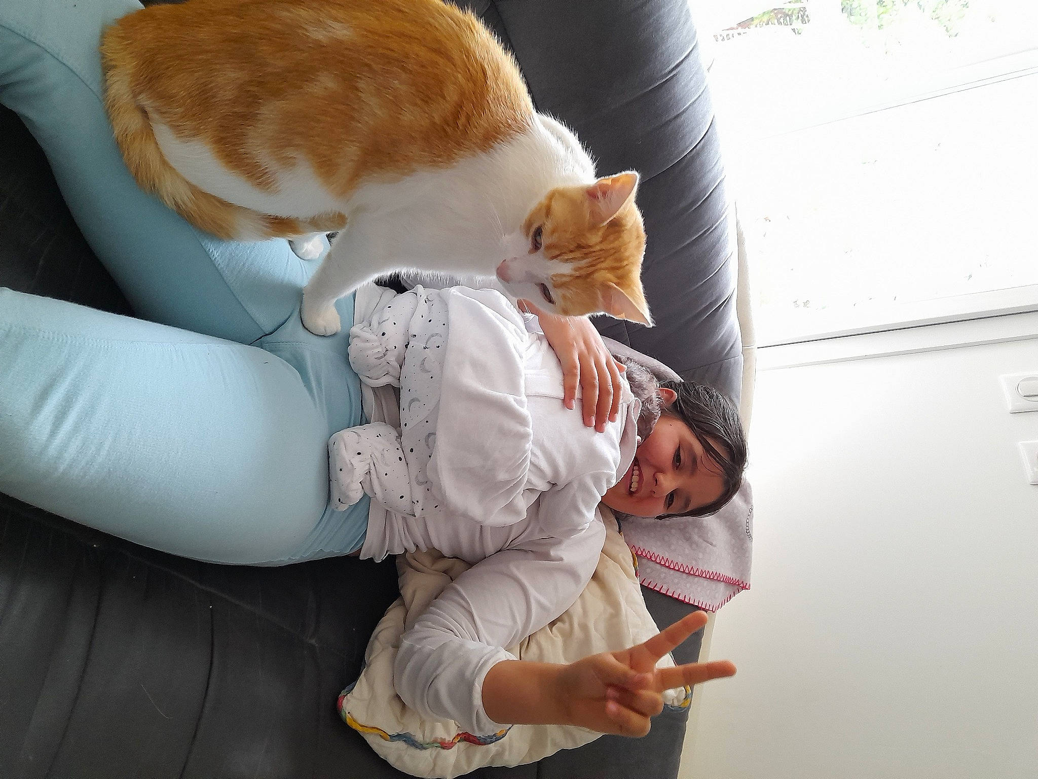 Maelys participe au concours pour gagner de l'argent avec cette photo : carnivore, cat, comfort, companion_dog, devon_rex, domestic_short_haired_cat, fawn, felidae, fur, glove, joy, lap, nap, paw, person, plush, sitting, small_to_medium_sized_cats, stuffed_toy, tail