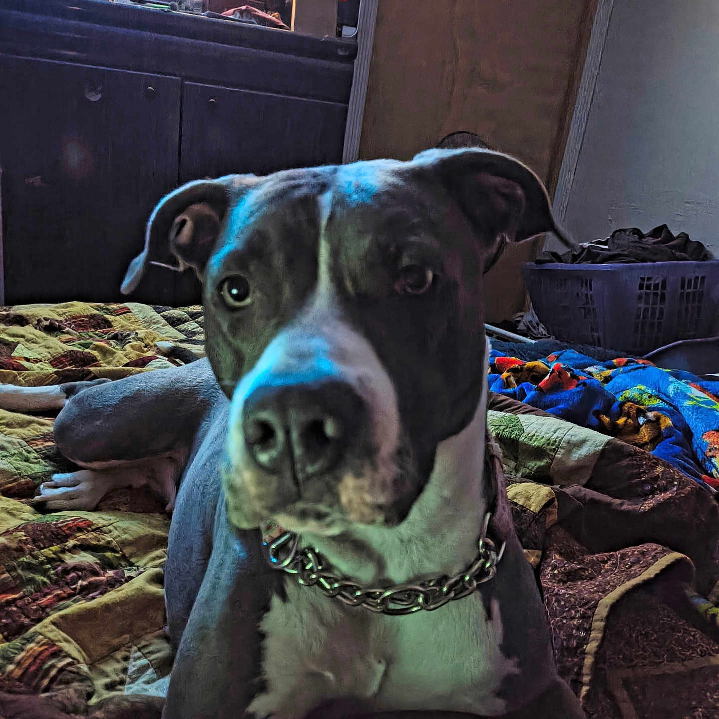 Luna