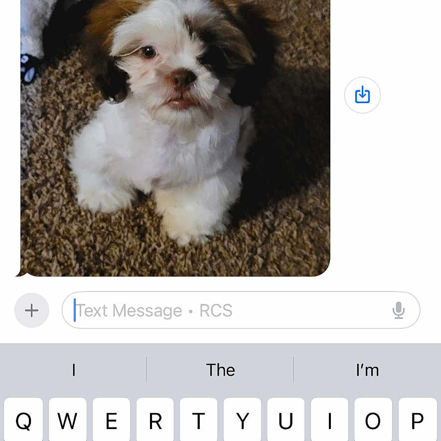 Captain Jack Sparrow