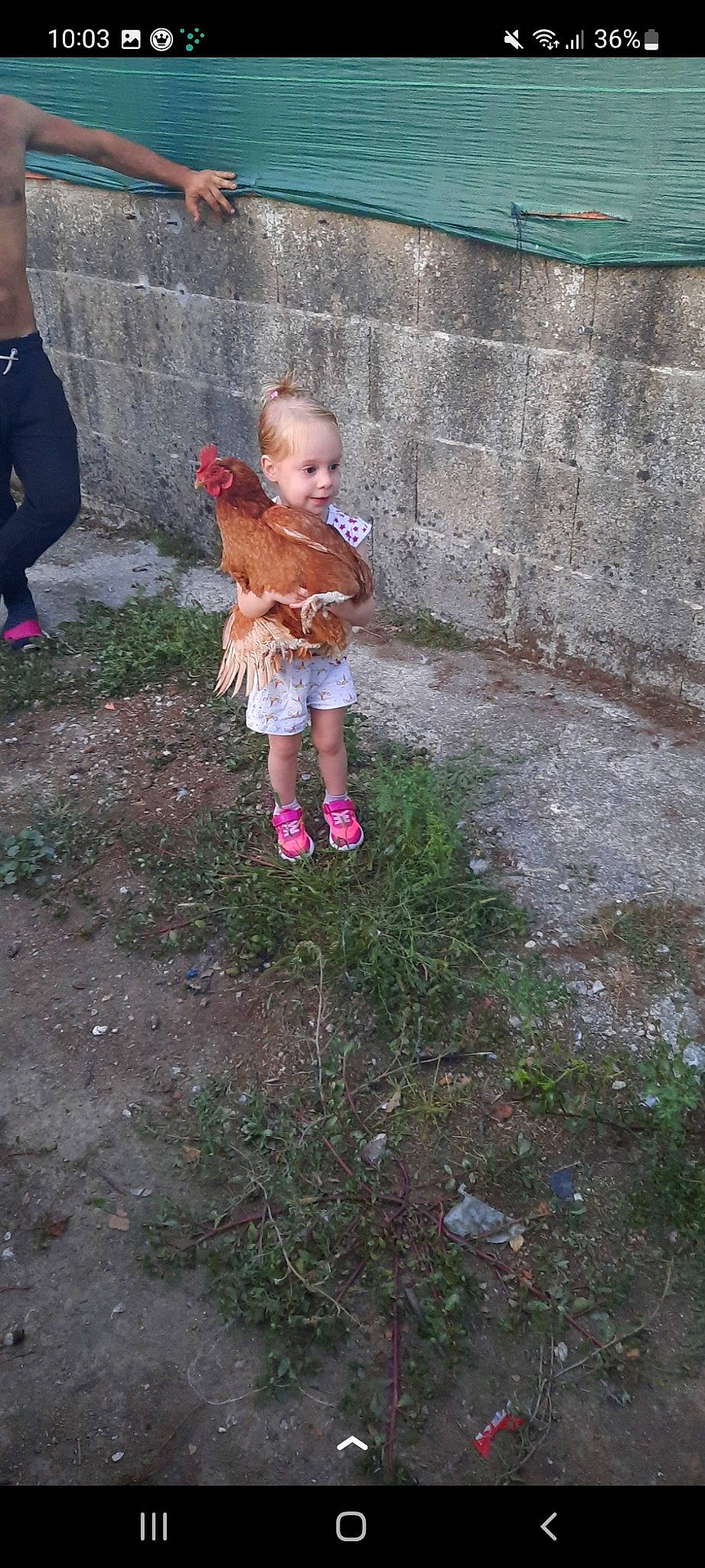 Elena Urvois a rejoint le concours — aidez-le/la à gagner de superbes lots ! baby, baby_toddler_clothing, boot, child, fun, garden, gesture, grass, landscape, lawn, leisure, people_in_nature, person, plant, play, recreation, shorts, soil, toddler, tree