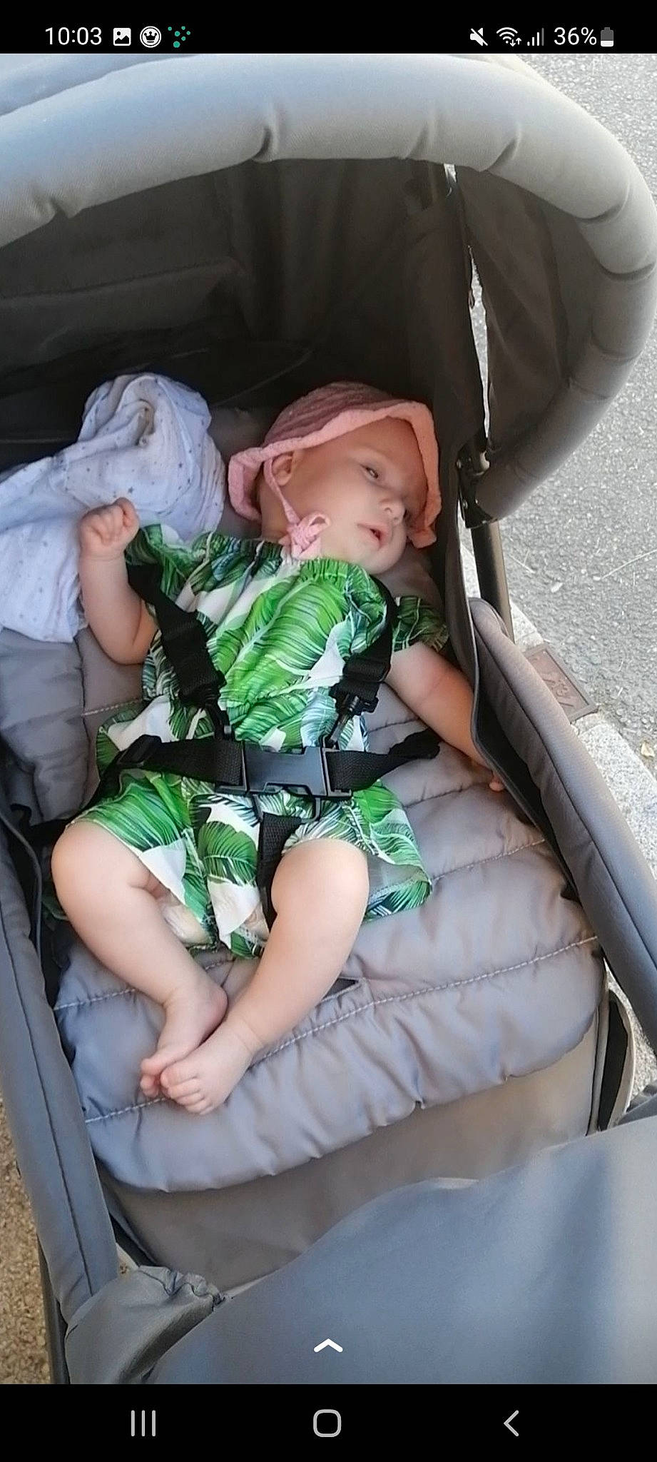 Zoe Couillaud participe au concours pour gagner de l'argent avec cette photo : auto_part, baby, baby_carriage, baby_products, baby_toddler_clothing, car_seat, chair, child, comfort, dress, family_car, finger, fun, grass, hairstyle, happy, hat, lap, person, sitting