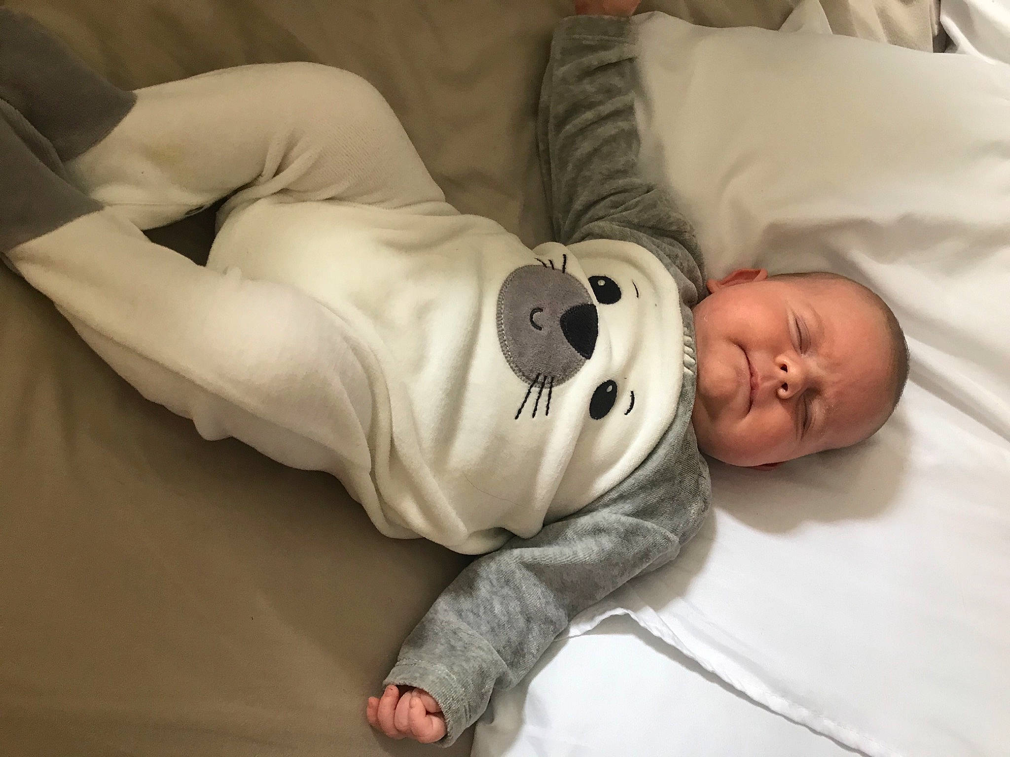 Ellis is registered to the contest to win money with this photo: baby, baby_products, baby_sleeping, baby_toddler_clothing, bedding, bedtime, child, comfort, elbow, flooring, fur, knee, linens, nap, person, portrait_photography, room, sitting, sleep, sleeve