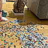 Rocky participe au concours pour gagner de l'argent avec cette photo : cat, tabby_cat, box, puzzle_pieces, floor, wood_floor, couch, indoor, living_room, person_arm, curious, pet, furniture, home, scattered, seated, playful, cozy, animal, domestic