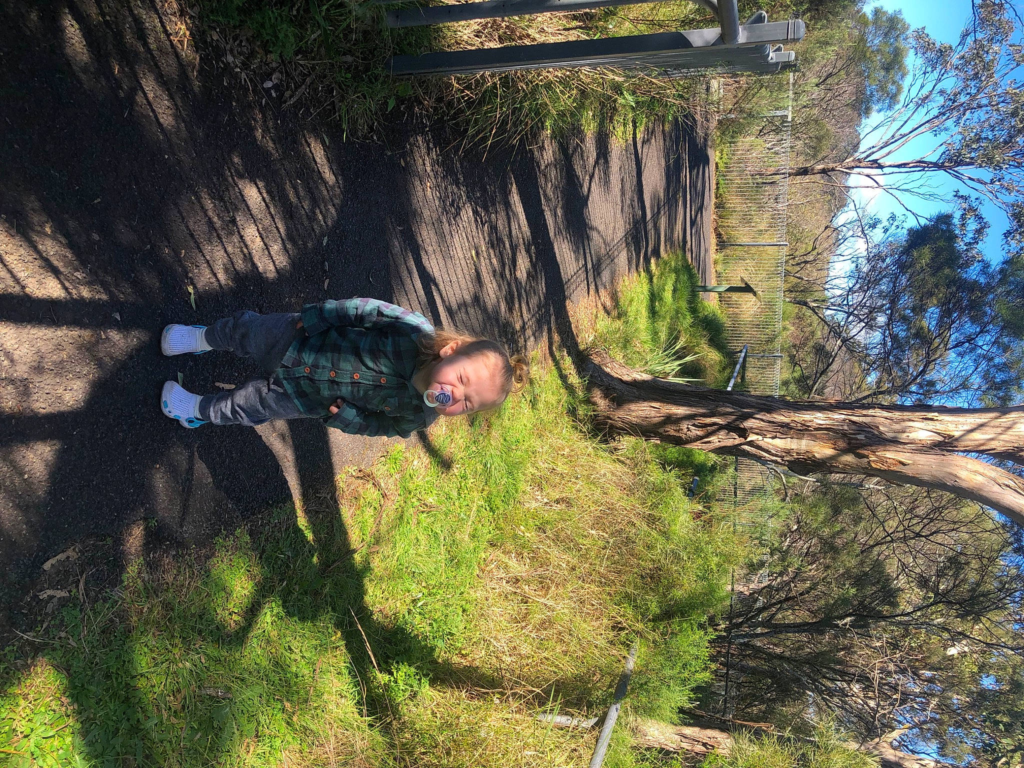 Kohen is registered to the contest to win money with this photo: forest, grass, grass_family, grassland, landscape, leisure, natural_landscape, nature_reserve, people_in_nature, person, plant, plant_community, recreation, sky, soil, tints_and_shades, tree, trunk, twig, wood