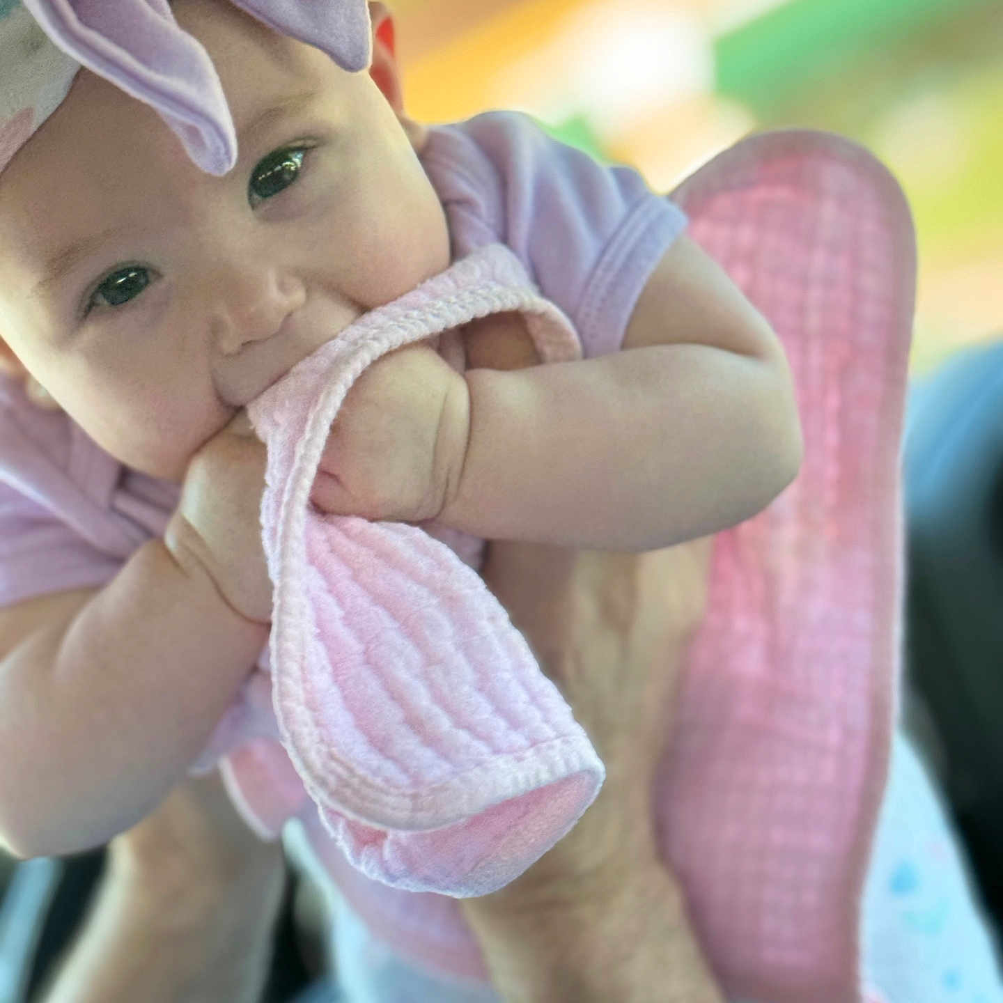 Willow is registered to the contest to win money with this photo: baby, baseballcap, bodypart, bonnet, cap, clothing, face, finger, glove, hand, hat, head, newborn, pants, person, photography, portrait, purple, t_shirt, towel